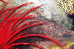 "Sea Anemone"  acrylic on canvas  61cmX 91,5 cm