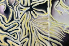 "Coralogy" acrylic on canvas  3 panels 100cmX50cm